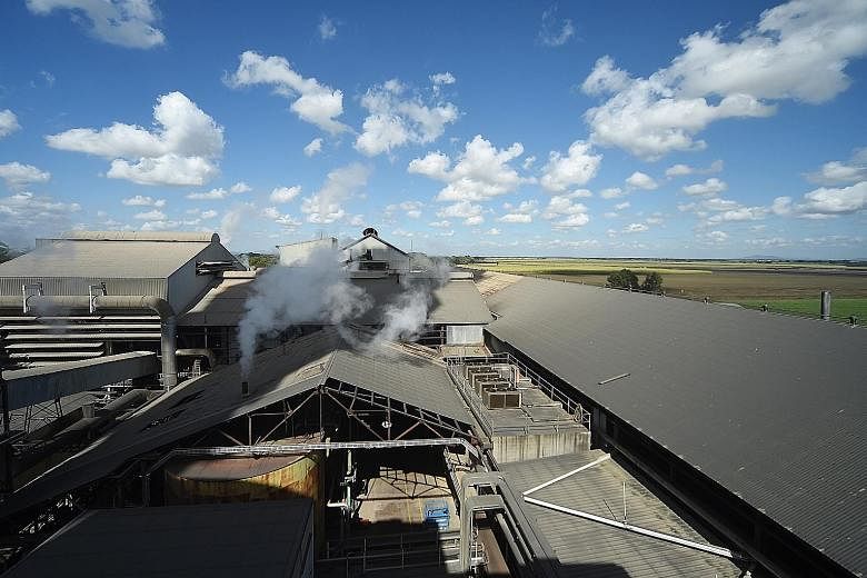 A Wilmar Sugar Australia processing plant near Ayr, Queensland. Since 2015, Wilmar has bought more than five billion kg of sugar at US$2.3 billion, enough to fill 3,000 Olympic-size swimming pools.