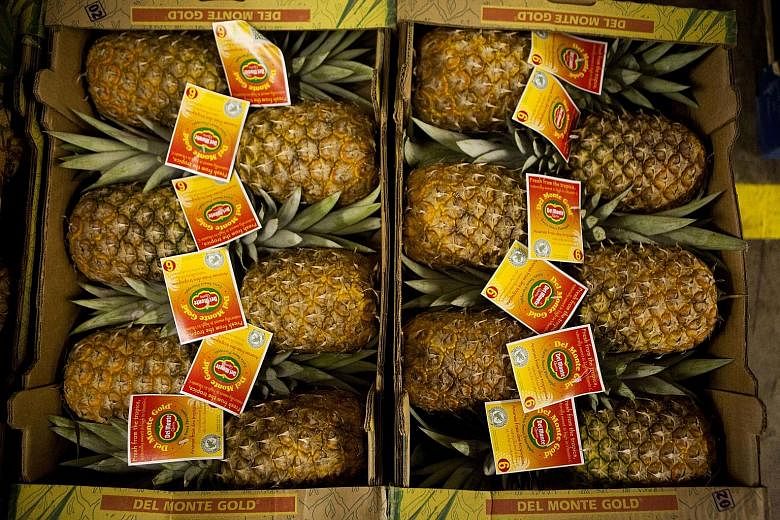 Del Monte Pacific, listed in both Singapore and the Philippines, said higher productivity in its cannery and lower commodity costs, especially in packaging, contributed to the higher gross margins.