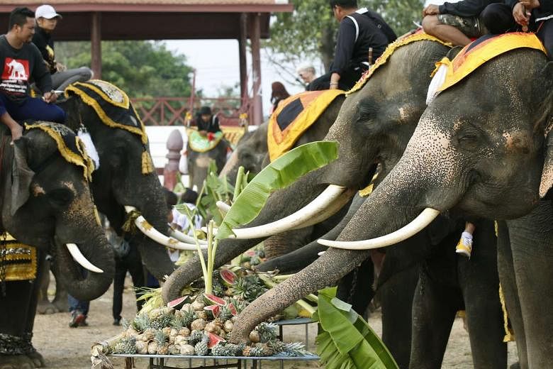 Thailand lays out buffet for elephants in national celebration | The  Straits Times