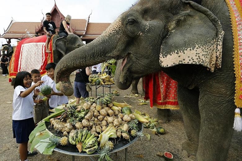Children feeding elephants during a fruit buffet for the animals to mark National Elephant Day yesterday in Ayutthaya province in Thailand. The annual event is held on March 13 to honour the animals and also increase public awareness of the need to s