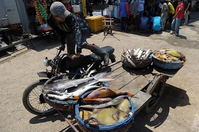 An Acehnese man transporting fish at Lampulo port in Banda Aceh. Two vessels were detained by the Indonesian navy on Sunday for alleged illegal fishing in Indonesian waters off Aceh province.