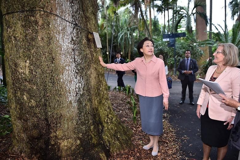 Ms Cheng Hong, the wife of Chinese Premier Li Keqiang, with Australian Prime Minister Malcolm Turnbull's wife, Lucy, at Sydney's Botanical Gardens yesterday.