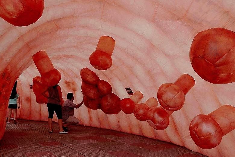 Visitors exploring a giant model of the human colon this month in Asuncion, Paraguay, as part of the country's public health efforts to raise awareness of colorectal cancer. A new scientific paper says more than two-thirds of cancer-causing mutations