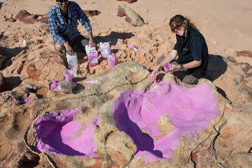 Dr Anthony Romilio and Ms Linda Pollard from the University of Queensland creating a silicon cast of sauropod tracks in the lower cretaceous broome sandstone in the Walmadany area of Dampier Peninsula, Western Australia. An "unprecedented" 21 differe