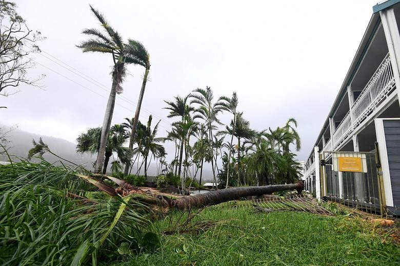 A fallen tree lying near a motel at Airlie Beach, located south of Townsville city, Queensland. The cyclone that hit the region is expected to cause more than a billion dollars' worth of damage.