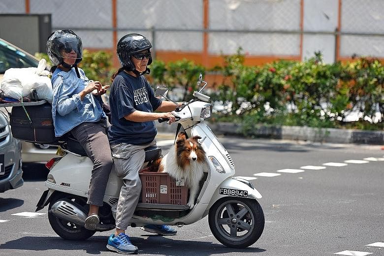 The record-high COE for bikes was due partly to buyers downgrading to smaller models after heftier taxes were imposed on bigger motorcycles in February, said the Singapore Motorcycle Trade Association's Mr Norman Lee.