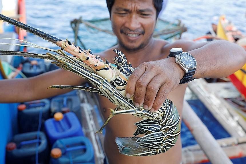 Despite increasing competition from Chinese fishermen, Filipinos are grateful they can still fish at Scarborough Shoal.