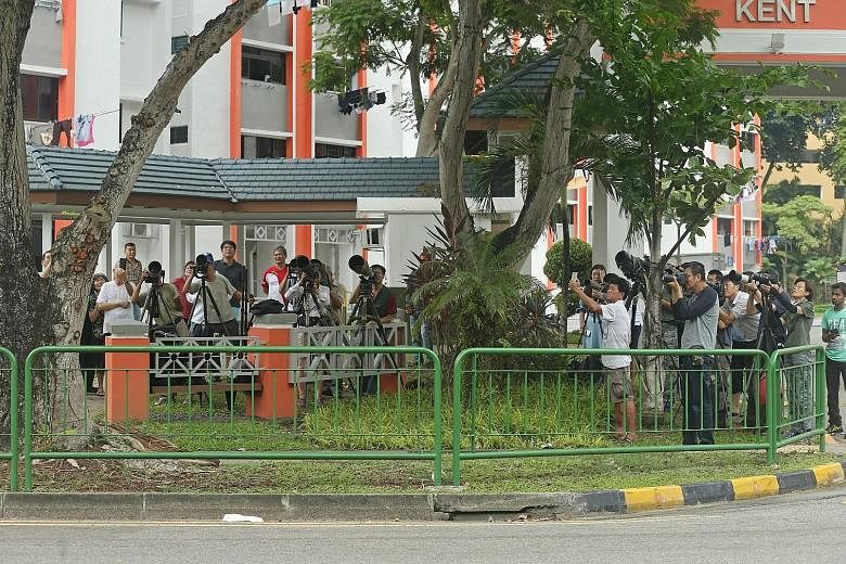 Scores of photographers wait patiently to capture a shot of one of these blue-crowned hanging parrots, which have been nesting in a tree near Pek Kio Market and Food Centre, and their chicks.