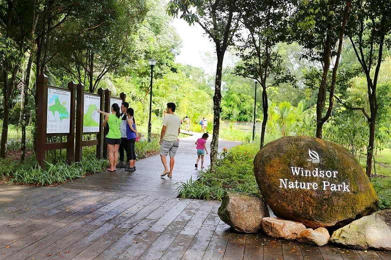 Windsor Nature Park features a 4m-high sub-canopy walkway that extends 150m, allowing visitors to see the fauna found above the ground. There are four trails, with one leading out to the TreeTop Walk.
