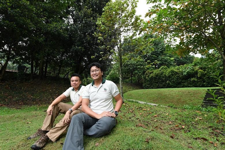 National Parks Board's (NParks) Mr Ang Wee Foong (left) and Dr Adrian Loo are among staff responsible for increasing the long-term survival chances of critically endangered plants in Singapore. For instance, NParks staff salvage seeds from plants and