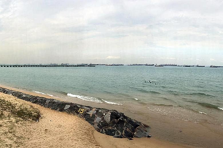 Ms Hajas said she leapt into the sea when she heard cries for help from the boys. Ms Silvia Hajas took a picture of the sea at East Coast Park that showed seven boys swimming about 50m away from the shoreline.