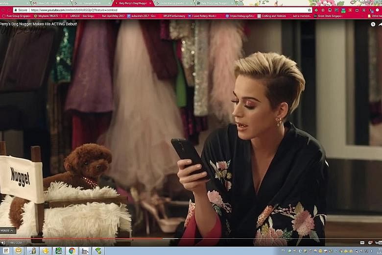 Katy Perry and her dog Nugget in an advertisement for Citi's Double Cash credit card.
