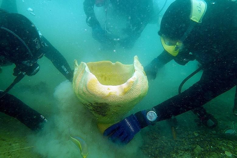 NParks researchers working with a Nature Society (Singapore) volunteer to dig out a neptune's cup sponge, once thought to be globally extinct, in the waters off St John's Island for relocation last year. The leader of that team was Dr Karenne Tun, se