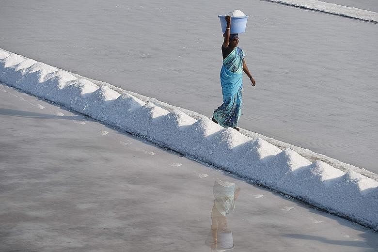 Indian labourer Thangam carries a basket of salt as she works on a salt pan at Thoothukudi, some 16km south of Madurai in Tamil Nadu, where labourers earn an average of 290 rupees (S$6.30) per day.