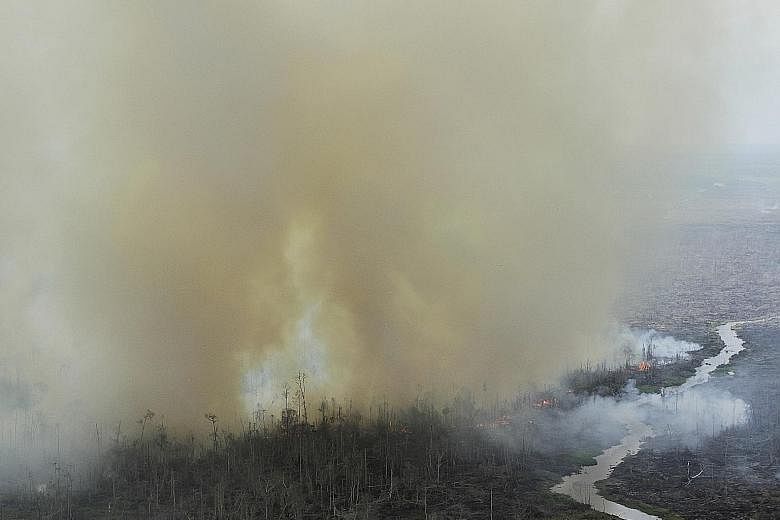 Smoke rising as forest land was cleared in Pelalawan Regency in Indonesia's Riau province in 2014. The following year, haze caused by forest fires in Indonesia cost Singapore an estimated $700 million.