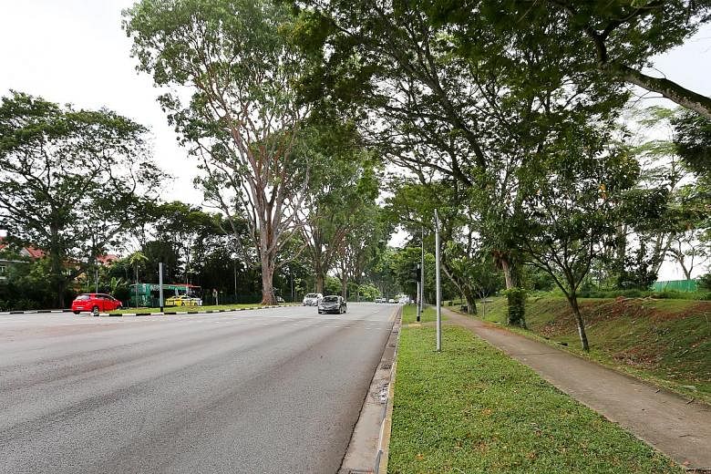 A fence (left) has been put up around the site of the heavy vehicle park, which is along Yio Chu Kang Road and faces the junction with Begonia Road.