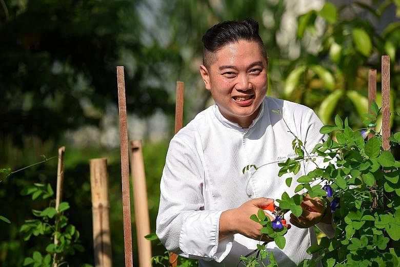 Chef Elson Cheong with butterfly pea flowers at the farm of One Farrer Hotel & Spa.