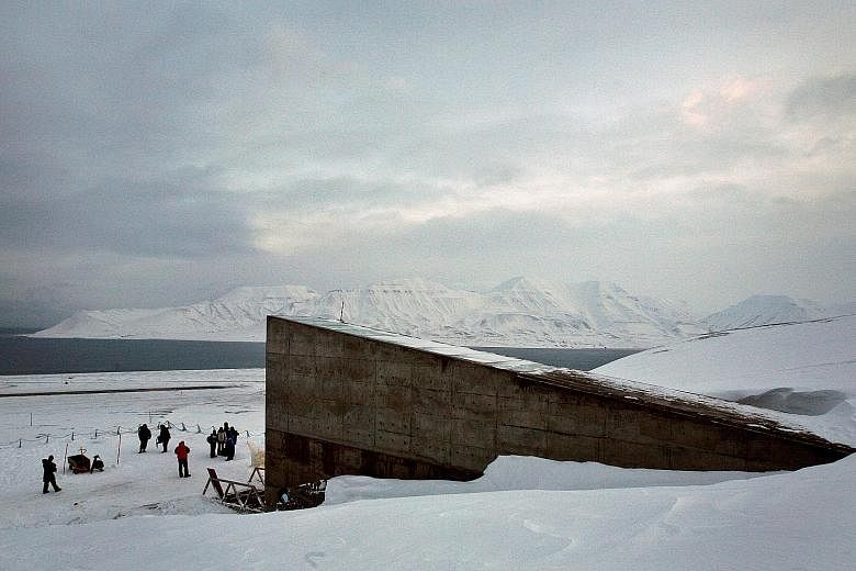 Freezing temperatures inside the Svalbard Global Seed Vault in Longyearbyen keep the seeds usable for a long period of time. But last October, melting permafrost caused water to leak into the entrance of a tunnel inside the vault.