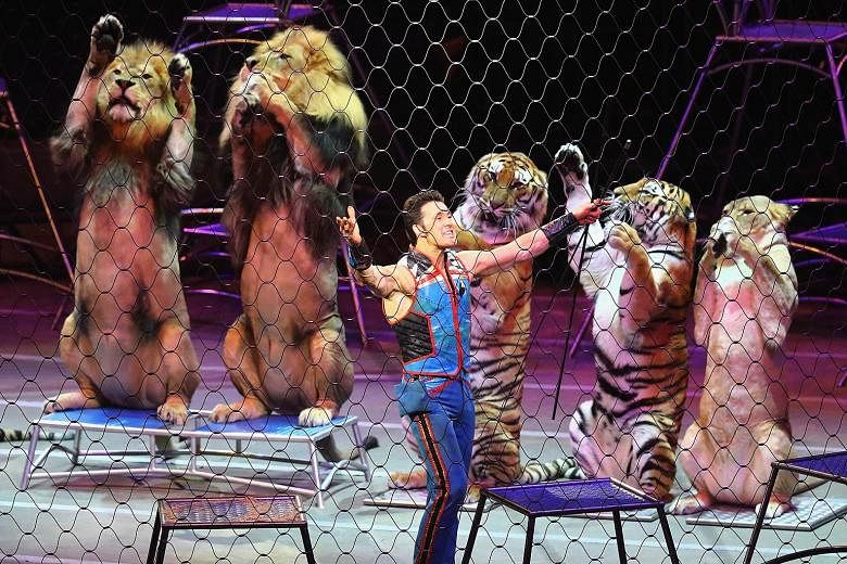 Big cat master Alexander Lacey (above) with his animals on the final day of the Ringling Bros and Barnum & Bailey circus show; and ringmaster Johnathan Lee Iverson in the closing number.