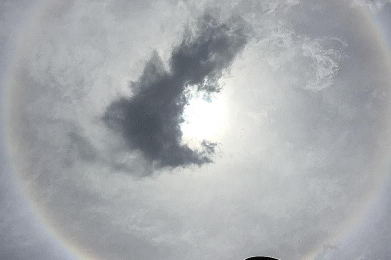 The sun halo as seen from Toa Payoh Lorong 1 at around 12.30pm yesterday. It occurs when there are thin clouds so high in the sky that they are made of ice crystals rather than water droplets. The crystals act as tiny prisms, reflecting and refractin