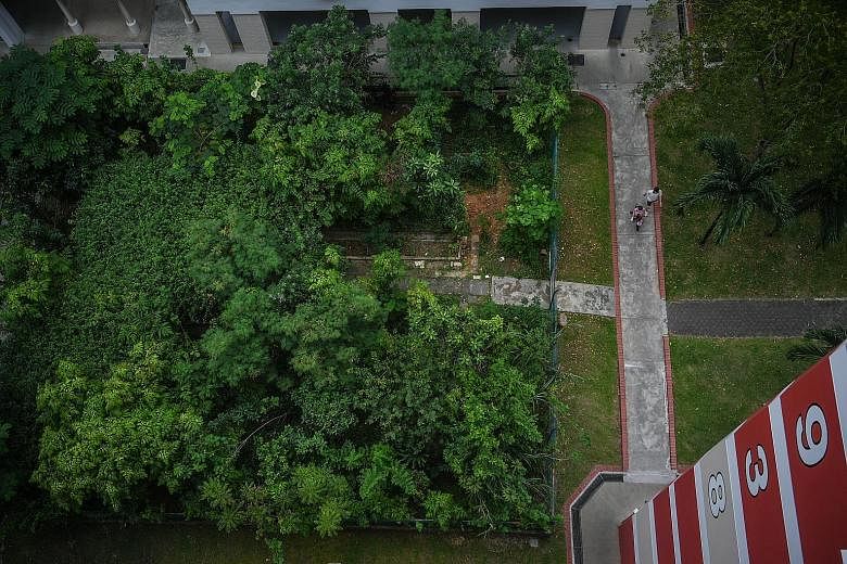 Mr Tan Thean Teng, who was the volunteer caretaker for the community garden at Block 938, Jurong West Street 91, for 14 years, has officially stopped his work there after the disagreement.