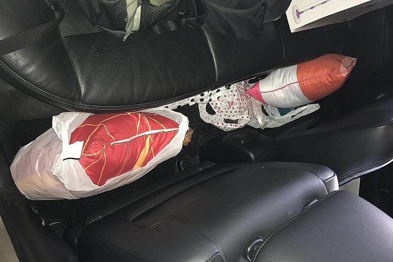 The five live geckos were found hidden inside two pillows in a car at Woodlands Checkpoint last Friday.
