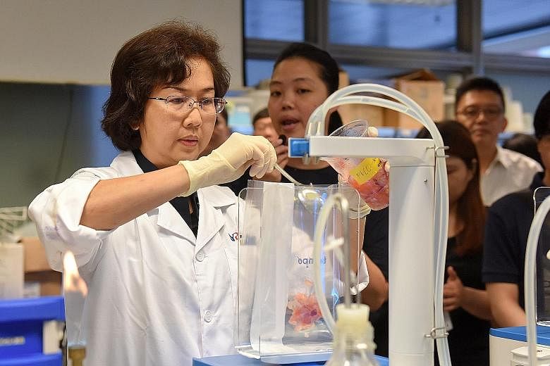 Ms Irene Chan, 50, a quality manager at the Nanyang Polytechnic (NYP)-bioMerieux Food Microbiology Rapid Testing Centre, demonstrating how to test a food sample for micro-organisms such as yeast or E.coli.