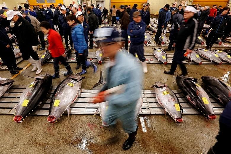 Built in 1935, Tsukiji is the world's biggest and busiest fish market. As many as 42,000 people visit it each day. Wholesalers checking the quality of fresh tuna at Tsukiji fish market before the New Year's auction in Tokyo this year. Its inner marke