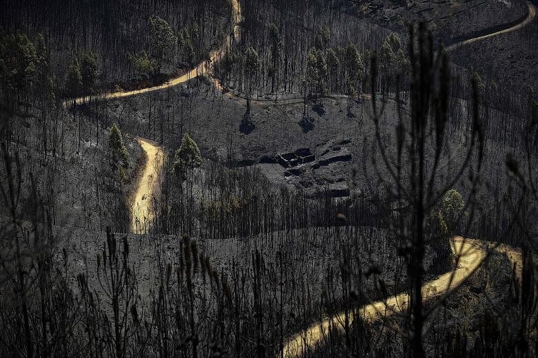 Burnt forest areas in Vale do Cambra, some 30km to Pedrograo Grande. The huge forest fires in Portugal erupted last Saturday and spread at breakneck speed.