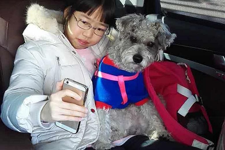 Ms Wang Zheng's daughter, Letong, and her furry companion, Pang Hei. More Chinese, like Ms Wang, are keeping dogs.