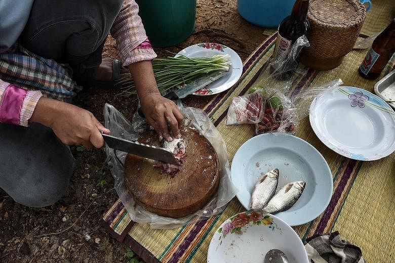 Millions of Thais across the rural north-east regularly eat koi pla, a local dish made of raw fish ground with spices and lime. The pungent meal is quick, cheap and tasty, but it is also a favourite feast for parasites.