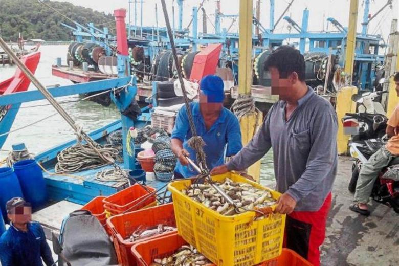 Malaysia to make sale of pufferfish illegal after wet markets found ...