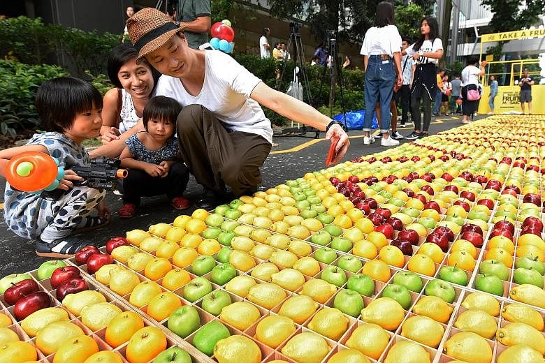 Mr Aries Satria with his wife Indri Seribuana and sons Christopher (in polka-dotted outfit) and Jonathan posing with Singapore's longest fruit mosaic, measuring 1.5m by 200m. It was completed on Sunday to mark International Fruit Day. The installatio