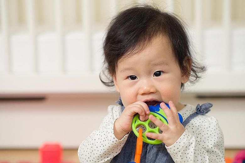 Let baby chew on teething toys that have been chilled in the fridge. The coldness can help numb the gums and provide temporary relief.