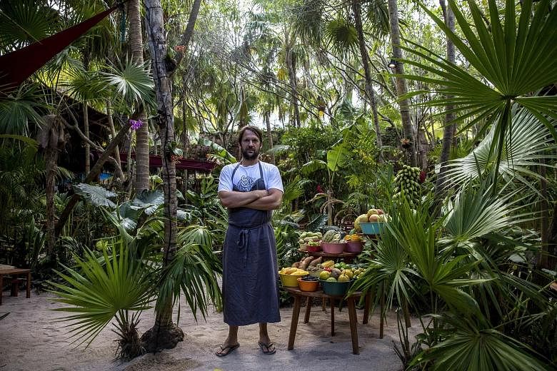 The app Vild Mad (Wild Food) by the founder of Noma restaurant, Rene Redzepi, includes tips on identifying, harvesting and cooking wild plants.