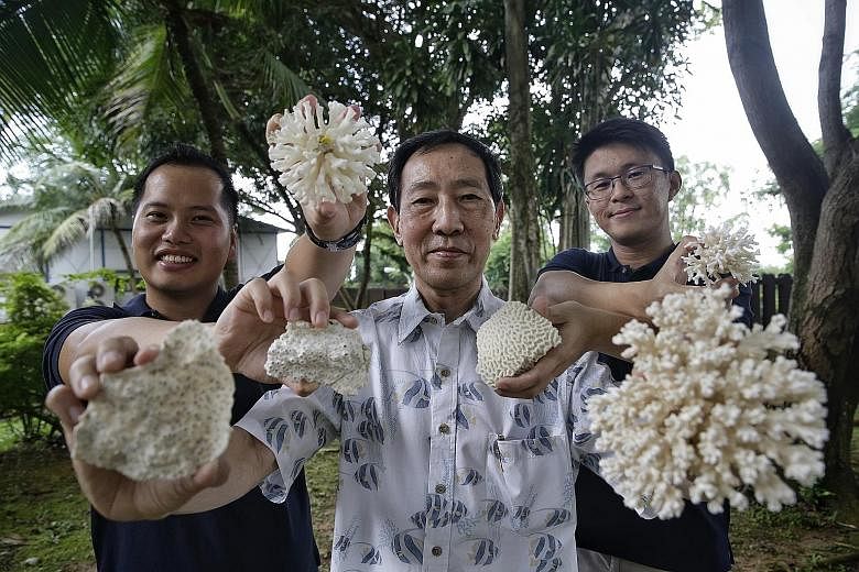 (From far left) Dr Toh Tai Chong, Professor Chou Loke Ming and Mr Lionel Ng, who were involved in the NUS study. It examined the marine life on reef enhancement units at six sites around Singapore's southern islands in 2014 - more than a decade after