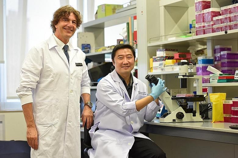Prof Salvatore Albani and Assoc Prof Thaschawee Arkachaisri hope work on Treg cells will help patients get the best treatment by eliminating ones they will not respond to.
