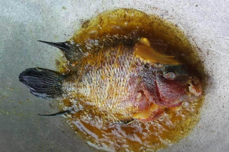 Malaysia man draws online flak after buying 909 luohan fish to fry