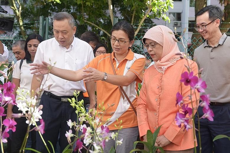 Speaker of Parliament Halimah Yacob touring an orchid garden in her Marsiling constituency yesterday. She is widely seen as a likely establishment candidate for September's election.