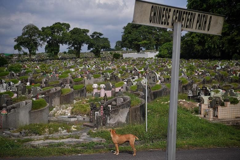Choa Chu Kang's Chinese Cemetery. Some 80,500 Chinese and Muslim graves will be exhumed progressively to expand Tengah Air Base.