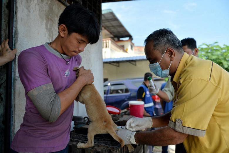 Penang Takes Steps To Prevent Rabies Outbreak 