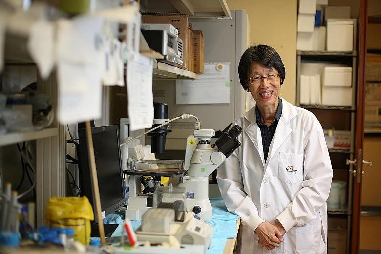 Professor Kon Oi Lian, who led the study at the National Cancer Centre Singapore, said the research may provide new insights for predicting survival and more effective treatment of gastric cancers.