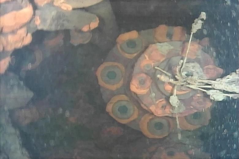 A screengrab from a video taken by a robot underwater showing the lower part of a control rod drive inside reactor No. 3 at Fukushima.
