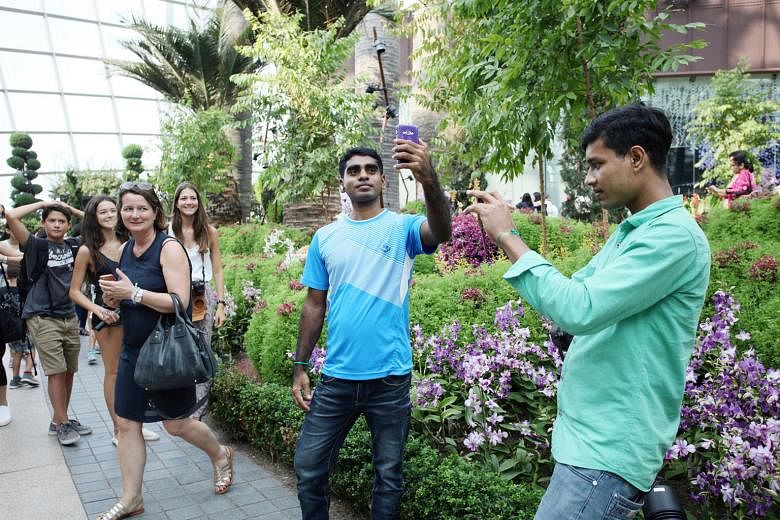 Some migrant workers from India and Bangladesh who had been injured in the course of their work got a respite from their problems yesterday. Some 40 of them went on a visit to Gardens by the Bay, taking in the sights of the Flower Dome and Cloud Fore