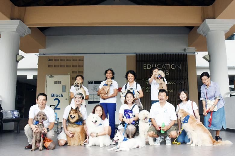 (Front row, from far left) Therapy Dogs, Singapore president Jun Sochi and vice-president Augustine Chai with volunteers Eunice Chang, Janice Ho, Joe Thang and Tan Hsiang Yue, and (back row, from far left) Hannah Chiang, Srilatha Balasubramanian, Ang