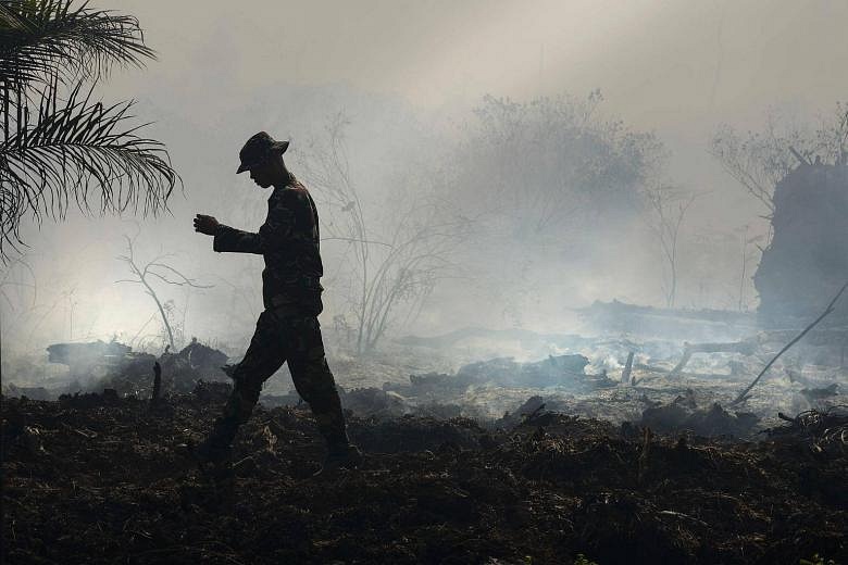 Malaysia Says It's Always Willing To Help Indonesia Fight Forest Fires ...