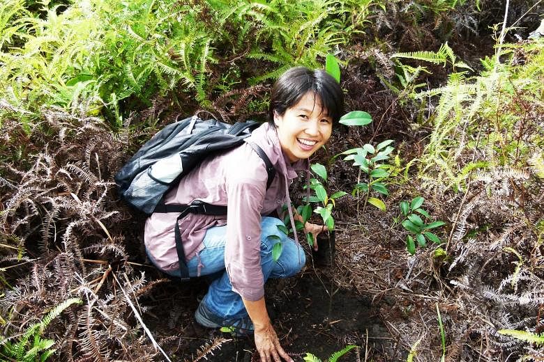 Ms Masami Sato, founder of non-profit organisation B1G1, planting a tree in Borneo. Her social enterprise connects SMEs with projects of their choice and has about 500 projects on its platform for them to choose from, including planting a tree for US