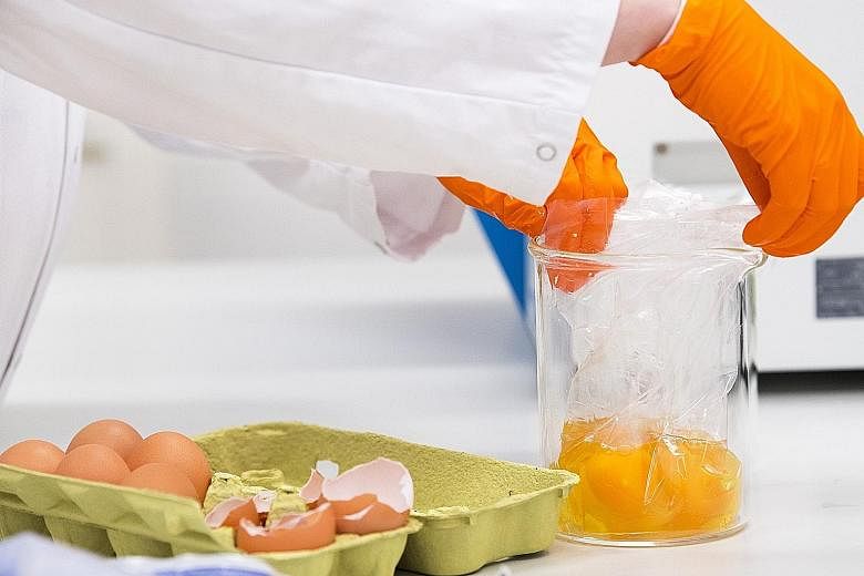 An NVWA laboratory assistant testing eggs after high levels of the insecticide fipronil were found in samples in the Netherlands.