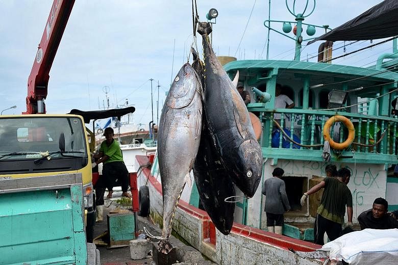 Fishermen in Bali unloading their tuna catch. Fishing on the high seas, often with generous government subsidies, is a multibillion-dollar industry, particularly for high-value fish served in restaurants.