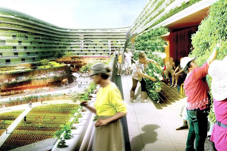 An artist's impression of a home farm concept, a novel design concept by architecture firm Spark. The need to ensure food resilience can be integrated into the design of buildings, with urban farms, says the writer.